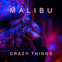 MALIBU - Crazy Things