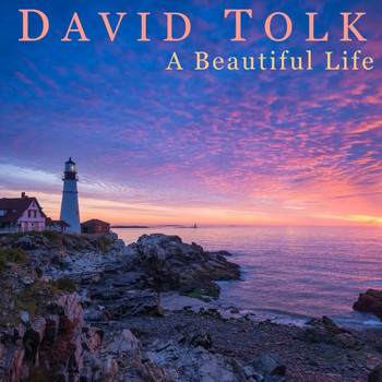 David Tolk - A Beautiful Life (feat. Steven Sharp Nelson)