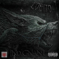 Lobito - Indignant