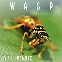 DJ Spandex / - Wasp