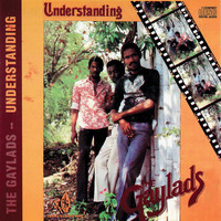 The Gaylads - Understanding