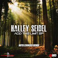Halley Seidel - Acid The Limit Ep