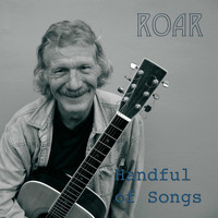 Roar - Handful of Songs