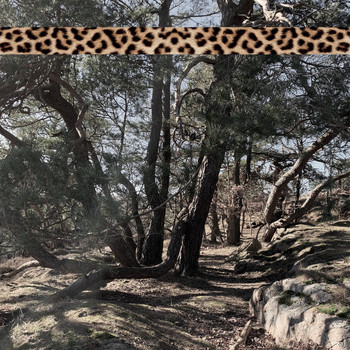 Andreas Foxx - Leopard Tape 005