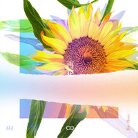EXID - [Re:flower] PROJECT #4