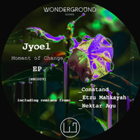 Jyoel - Moment of Change [WNG009]