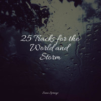 A Sudden Rainstorm, White Noise Nature Sounds Baby Sleep, Natureza - 25 Tracks for the World and Storm