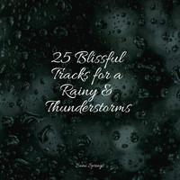 Avslappning Sound, ASMR Sleep Sounds, Deep Sleep Music Delta Binaural 432 Hz - 25 Blissful Tracks for a Rainy & Thunderstorms