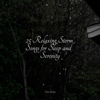 Nature Sound Collection, Nature Sound Series, White Noise Sound Garden - 25 Relaxing Storm Songs for Sleep and Serenity