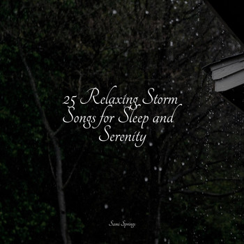 Nature Sound Collection, Nature Sound Series, White Noise Sound Garden - 25 Relaxing Storm Songs for Sleep and Serenity