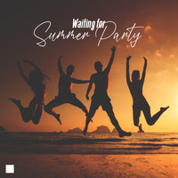 Dance Hits 2015 - Waiting for Summer Party (EDM Dance Hits)