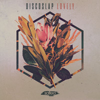 Discoslap - Lovely
