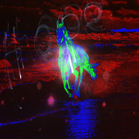 NDIA - Dark Horse
