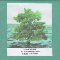 Nicholas Jack Marino - All That We See