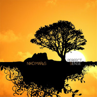 Niko Marks - Perfect Sense