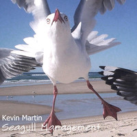 Kevin Martin - Seagull Management