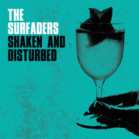 The Surfaders - Shaken and Disturbed