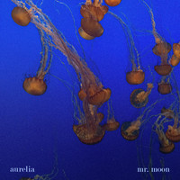 Mr. Moon - Aurelia
