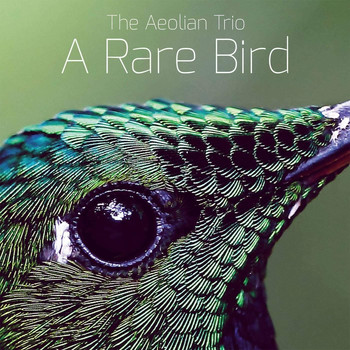 The Aeolian Trio - A Rare Bird