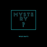 Mystery - Wild Day's (Explicit)