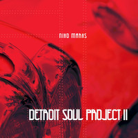 Niko Marks - Detroit Soul Project 2