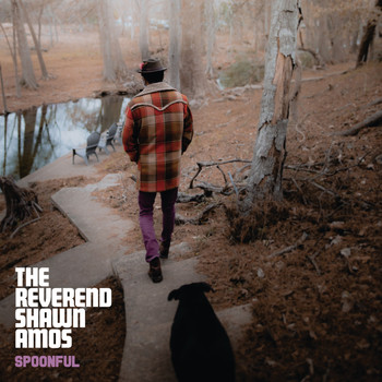 The Reverend Shawn Amos - Spoonful