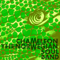 The Norwegian Soulband - Chameleon (Radio Edit)