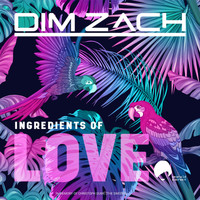 Dim Zach - Ingredients of Love