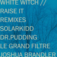 Joshua Brandler & Tammy Payne - White Witch & Raise It (Remixes)