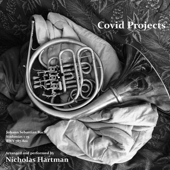 Nicholas Hartman - Covid Projects
