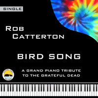Rob Catterton - Bird Song
