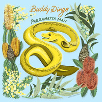 Buddy Dingo - Parramatta Man