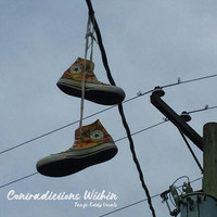 Tax - Contradictions Within (Explicit)