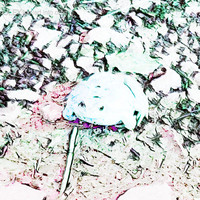 Ulex - Fuelled into Orbit