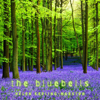 Helen Keeling-Marston - The Bluebells