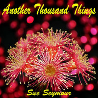 Sue Seymour - Another Thousand Things