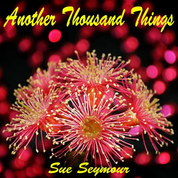 Sue Seymour - Another Thousand Things