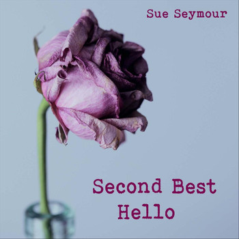 Sue Seymour - Second Best Hello