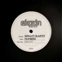 Sepalot feat. Angela Aux, Matthias Lindermayr & Fabian Füss - Numbers