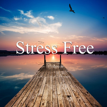 Music Body and Spirit - Stress Free