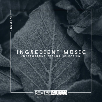 Various Artists - Ingredient Music, Vol. 41