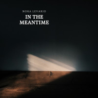Nora Levario - In The Meantime