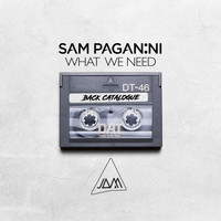 Sam Paganini - What We Need