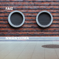 Faiz - Nwanyioma