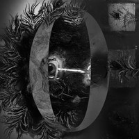 Laren - Project Zero