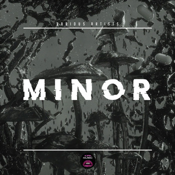 Various Artists - Minor