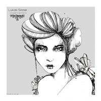 Lukas Simmer - Imperfections