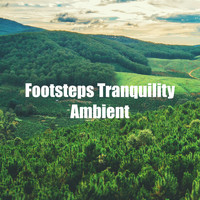 Forest Sounds For Relaxation - Footsteps Tranquility Ambient