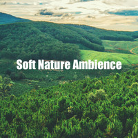 Nature Soundscapes - Soft Nature Ambience