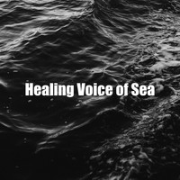 Seascapers - Healing Voice of Sea